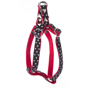 Visuel 1 du produit Harnais baudrier Pois pour chien coloris noir - S