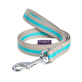 Visuel 1 du produit Laisse Arlequin beige/turquoise taille L