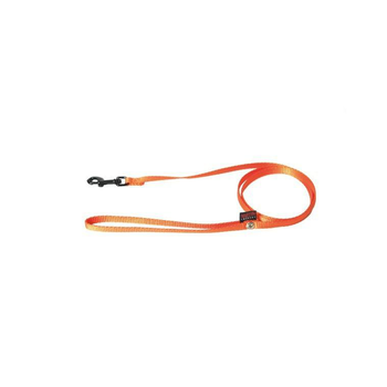 Visuel 1 du produit Laisse chien nylon 10mm / 120cm orange