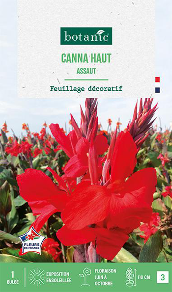 Visuel 1 du produit Bulbe de fleurs Canna Haut Assaut botanic® - 1 bulbe