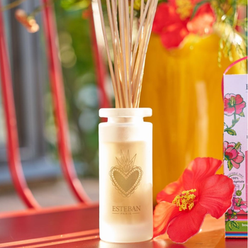 Visuel 2 du produit Bouquet parfumé avec sa recharge senteur fleur d'hibiscus Esteban - 100 ml
