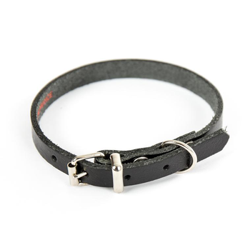 Visuel 1 du produit Collier en cuir noir pour chien 1,2x33 cm