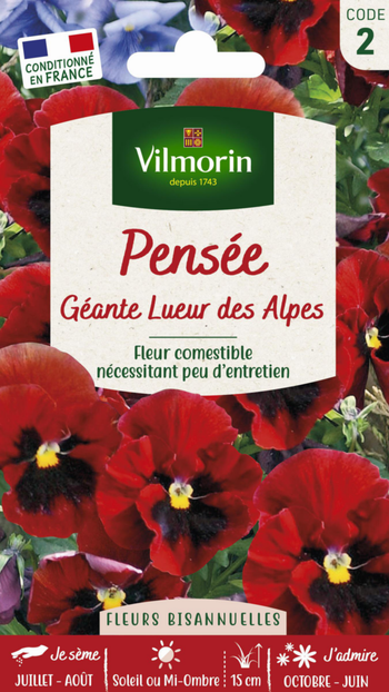 Visuel 1 du produit Graines de Pensée géante Lueur des Alpes Vilmorin - graines à semer