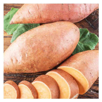 Visuel 1 du produit Patate Douce Bonita Bio. Le pot de 1 litre
