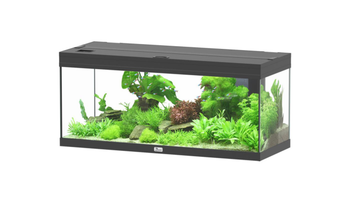 Visuel 1 du produit Aquarium coloris noir Aquatlantis Prestige LED 2.0 144 L - 100 x 40 x 40 cm