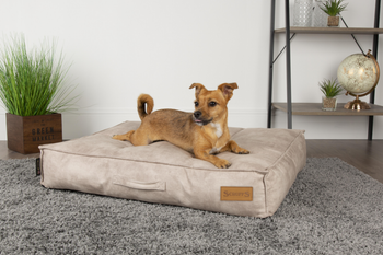 Visuel 1 du produit Coussin pour chien beige Kensington – Taille M