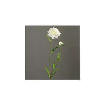 Visuel 1 du produit Scabiosa artificielle H68 cm