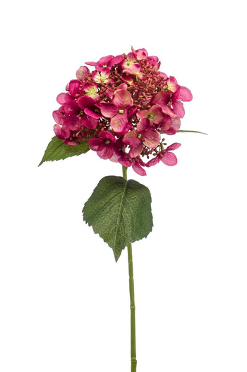 Visuel 1 du produit Tige d’Hortensia artificiel fuchsia - Ø 17 x H 50 cm