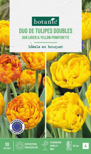 Visuel 1 du produit Tulipe en mélange coloris orange botanic® - 10 bulbes