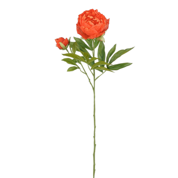 Visuel 1 du produit Pivoine artificielle recyclée orange - H 66 cm