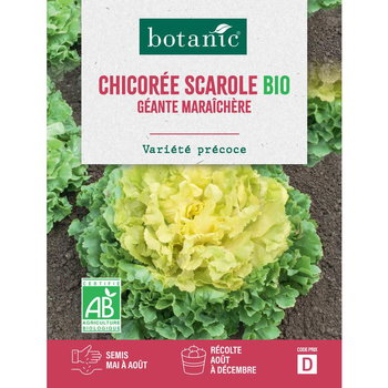 Visuel 1 du produit Graines de chicorée scarole géante maraîchère bio botanic® - graines à semer