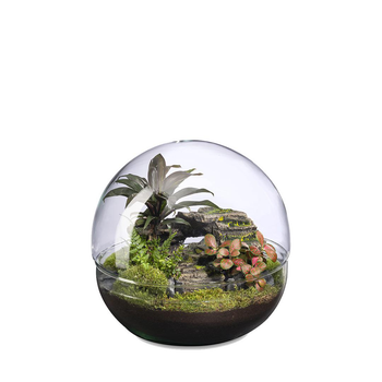 Visuel 1 du produit Terrarium autonome Mini Monde Landscape botanic® - taille L