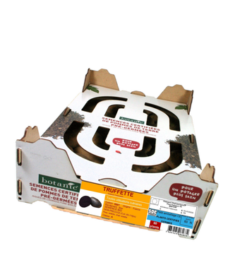 Visuel 1 du produit Pommes de terre Truffette bio botanic® - 60 plants