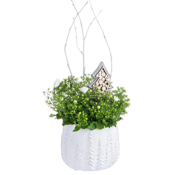 Visuel 1 du produit Composition de Noël campanule multicolore céramique sapins