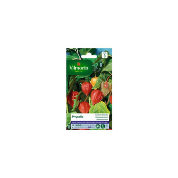 Visuel 1 du produit Graines de Physalis Lanterne chinoise Vilmorin - graines à semer