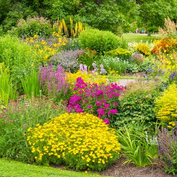 Visuel 1 du produit Terreau pour plantes fleuries botanic® - 60 L