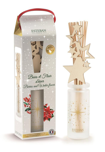 Visuel 1 du produit Bouquet parfumé et recharge Esteban Baies et fleurs d’hiver - 100 ml