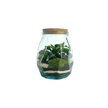 Visuel 1 du produit Terrarium autonome Origami M botanic® - Ø 17 x 21 cm