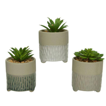 Visuel 1 du produit Succulentes artificielles coloris vert avec pot en béton - 6,5 x 9 cm