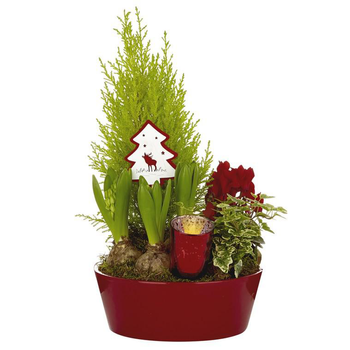 Visuel 1 du produit Composition festive en coupe zinc rouge - La composition