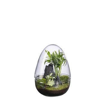 Visuel 1 du produit Terrarium autonome Dyno Landscape botanic® - taille M