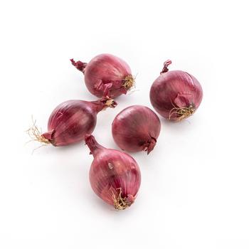 Visuel 1 du produit Oignon rouge bio - Prix au kg