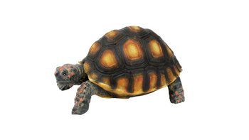 Visuel 1 du produit Décoration pour terrarium coloris marron en résine figurine tortue tigrée Terratlantis - 10 x 6,5 x 5 cm