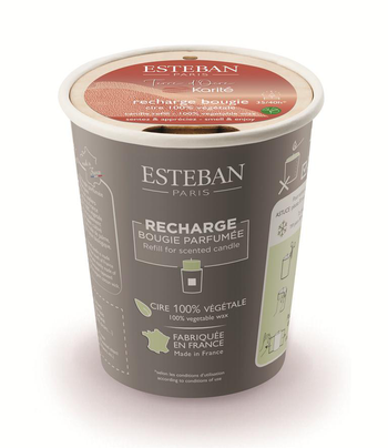 Visuel 1 du produit Recharge pour bougie parfumée senteur terre d'ocre Esteban - 180 g