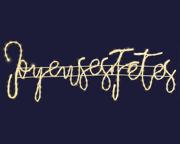 Visuel 1 du produit Cordon lumineux Joyeuses Fêtes à 242 micro-LED blanc chaud et câble argent - 107 x 36 cm