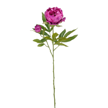 Visuel 1 du produit Pivoine artificielle recyclée violette - H 66 cm