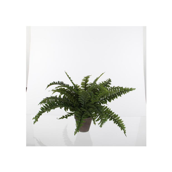 Visuel 1 du produit Fougère artificielle verte en pot gris H 42 x Ø 50 cm