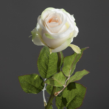 Visuel 1 du produit Fleur artificielle Rose brésil beige