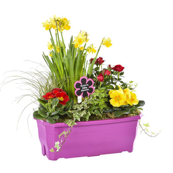 Visuel 1 du produit Jardinière fête des Grands Mères - La jardinière de 40 cm