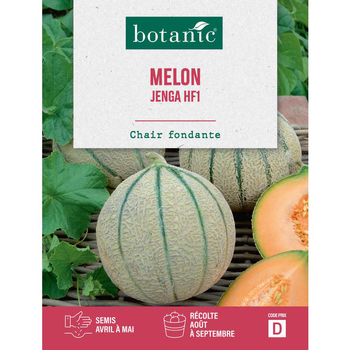 Visuel 1 du produit Graines de melon jenga hybride f1 botanic® - graines jenga semer