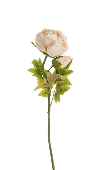 Visuel 1 du produit Fleur artificielle en papier tige de pivoine coloris beige - H 62 cm