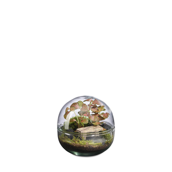 Visuel 1 du produit Terrarium autonome Mini Monde Banc botanic® - taille S