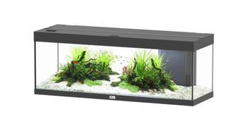 Visuel 1 du produit Aquarium coloris noir Aquatlantis Prestige LED 2.0 170 L - 120 x 40 x 45 cm