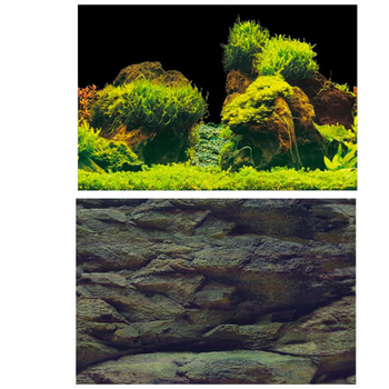 Visuel 1 du produit Poster aquarium décoratif de roche et plantes - AQUA NOVA modèle Rock/Plants S