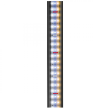 Visuel 1 du produit Rampe LED 14,9W pour aquarium d'eau douce, spécificité fresh plants, EHEIM powerLED+ - dimensions 487mm