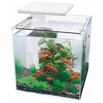 Visuel 1 du produit Aquarium équipé blanc, SUPERFISH Qubiq 30 PRO - 30L
