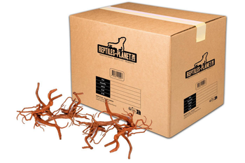 Visuel 1 du produit Décoration pour aquarium en bois racine araignée Reptiles Planet - Taille S (15 à 25 cm)