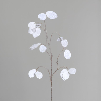 Visuel 1 du produit Branche de lunaire blanche - 84 cm