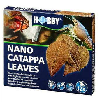 Visuel 1 du produit Feuilles de badamier nano catappa, pack de 12, HOBBY