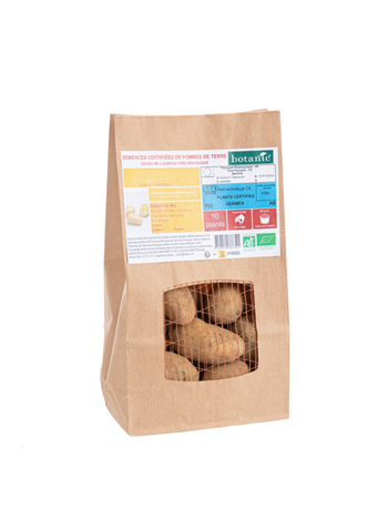 Visuel 1 du produit Pommes de terre Otolia bio botanic® - 10 plants