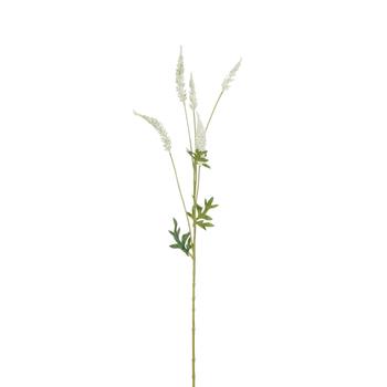 Visuel 1 du produit Astilbe artificielle coloris crème - 81 cm