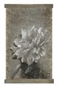 Visuel 1 du produit Affiche sur toile souple effet vintage fleur et visage femme sur fond gris - 50 x 85 cm