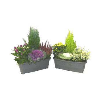 Visuel 1 du produit Jardinière d'automne mauve - La jardinière de 40 cm