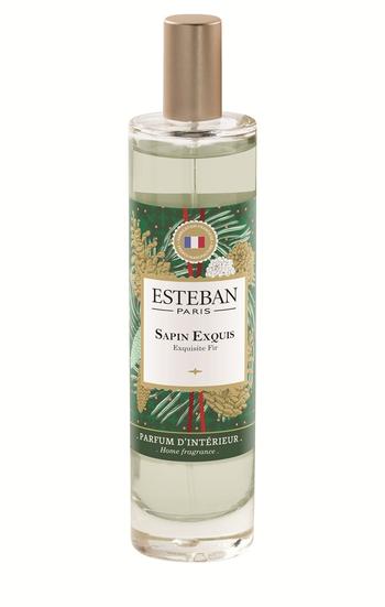 Visuel 1 du produit Vaporisateur de parfum d’intérieur Sapin exquis Estéban - 75 ml