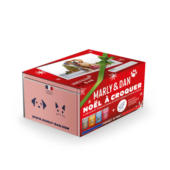 Visuel 1 du produit Coffret de Noël multipack pour chien Marly & Dan