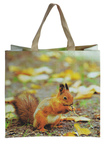 Visuel 1 du produit Sac de courses illustration nature au printemps - 39,5 x 14,5 x 40 cm
